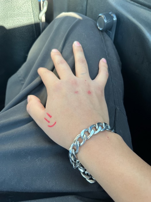 mano en el asiento, foto
